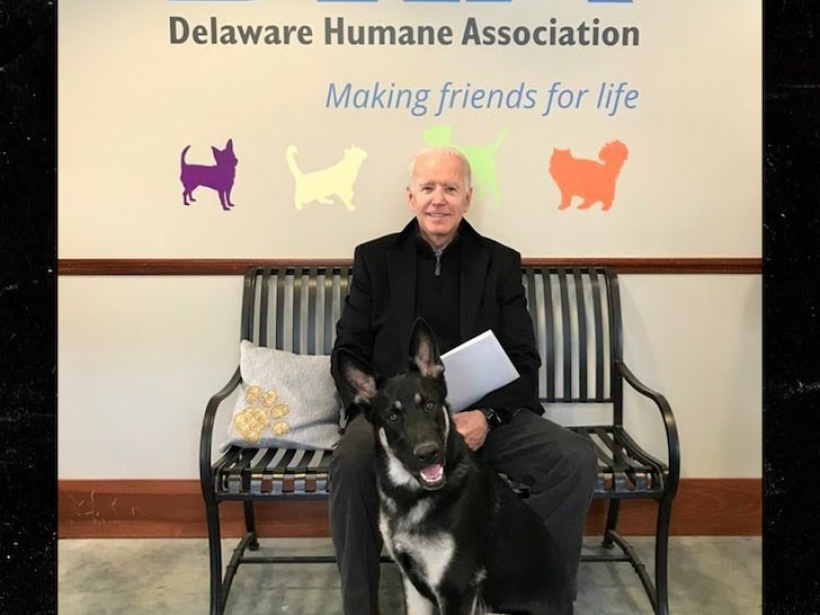 Joe Biden-mit-Hund Joe Biden-mit-Hund