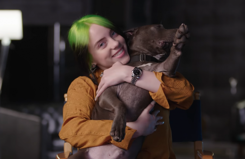 Billie-Eilish-Shark-Vanity-Fair-Video-Interview.png Billie-Eilish-Shark-Vanity-Fair-Video-Interview.png