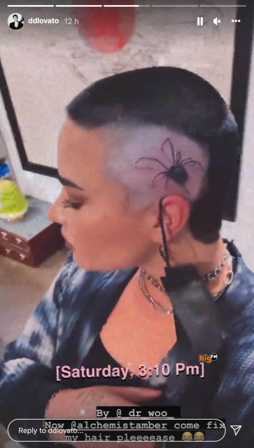 Demi-Lovato-Instagram-Screenshot-2022-01-09.png Demi-Lovato-Instagram-Screenshot-2022-01-09.png