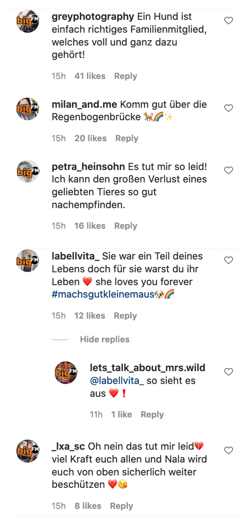 Fans-trauern-um-Nala.png Fans-trauern-um-Nala.png
