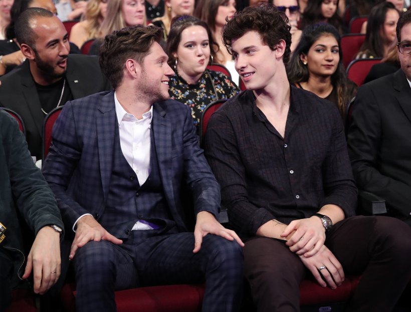 Niall Horan und Shawn Mendes wurden beide Opfer von Mobbing