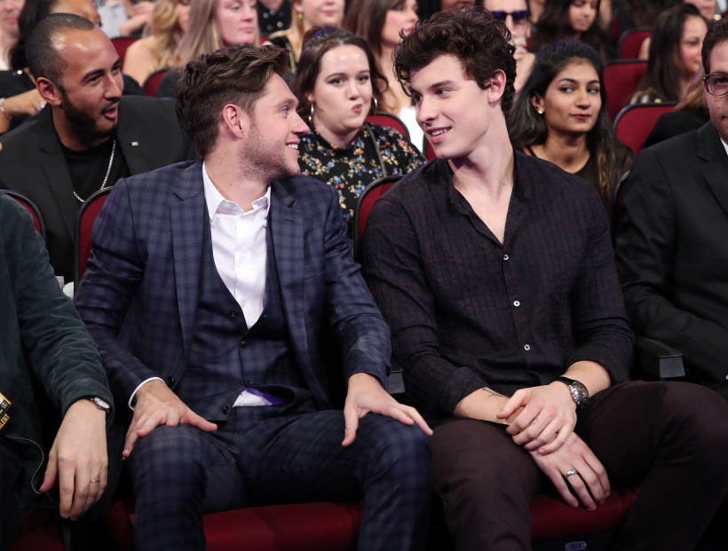 Niall Horan und Shawn Mendes wurden beide Opfer von Mobbing Niall Horan und Shawn Mendes wurden beide Opfer von Mobbing