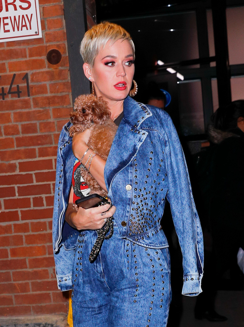 Katy-Perry-Nugget-.jpg Katy-Perry-Nugget-.jpg
