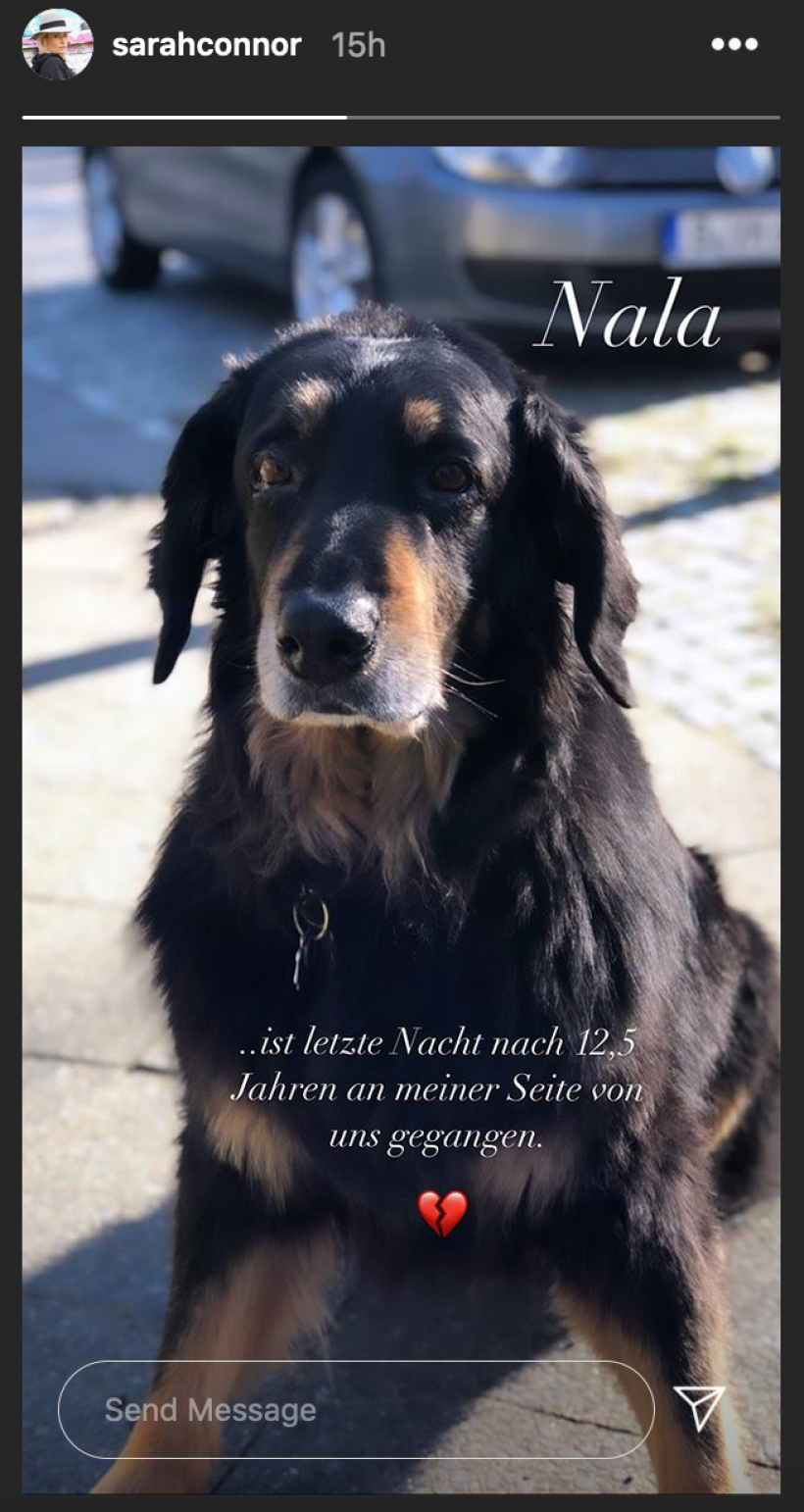 Sarah-Connor-verabschiedet-sich-von-Nala.png Sarah-Connor-verabschiedet-sich-von-Nala.png