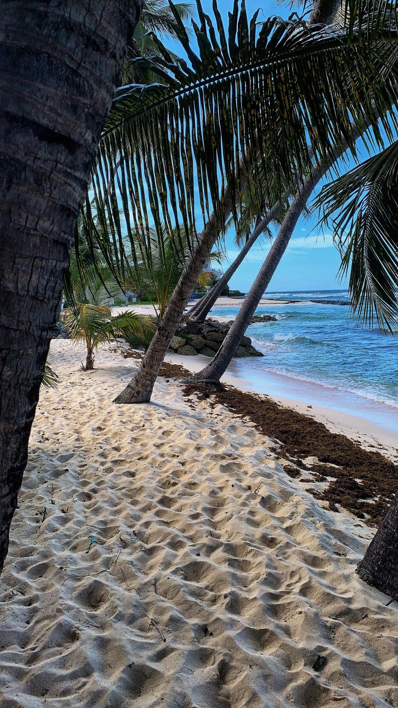 Barbados Traumhaftes Büro oder? Barbados lockt mit Karibik-Flair